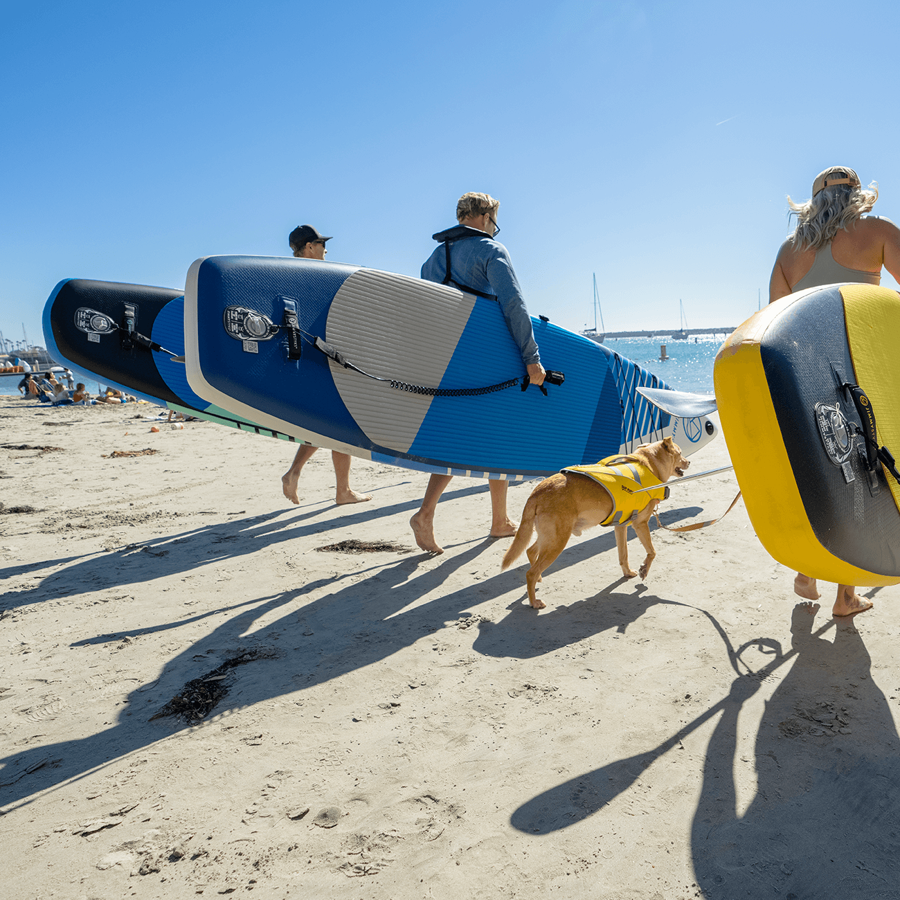 People are holding Jimmy Styks Inflatable SUPs (mobile version)