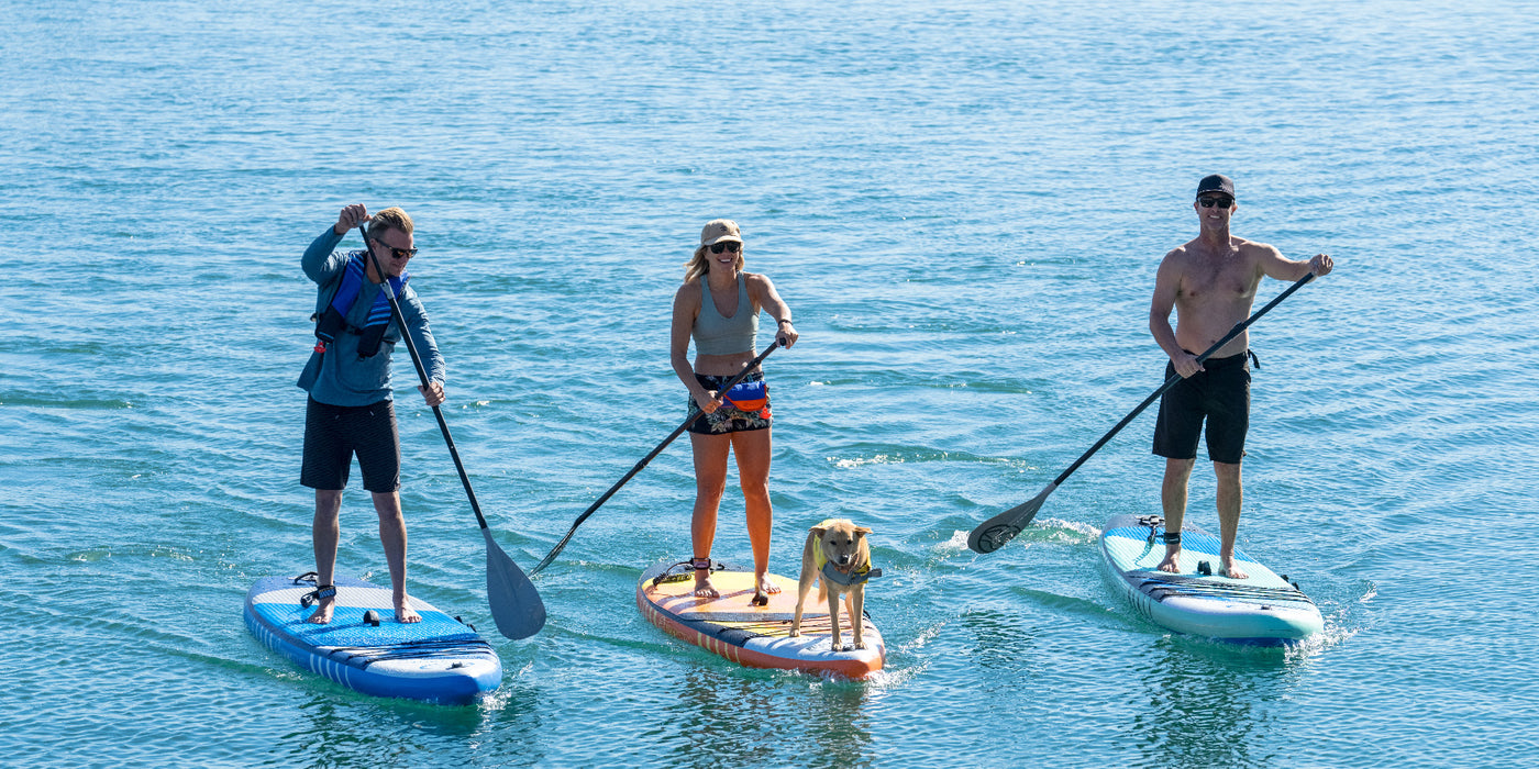 A group of people are paddling on the waters together with a dog with Jimmy Styks Inflatable SUPs
